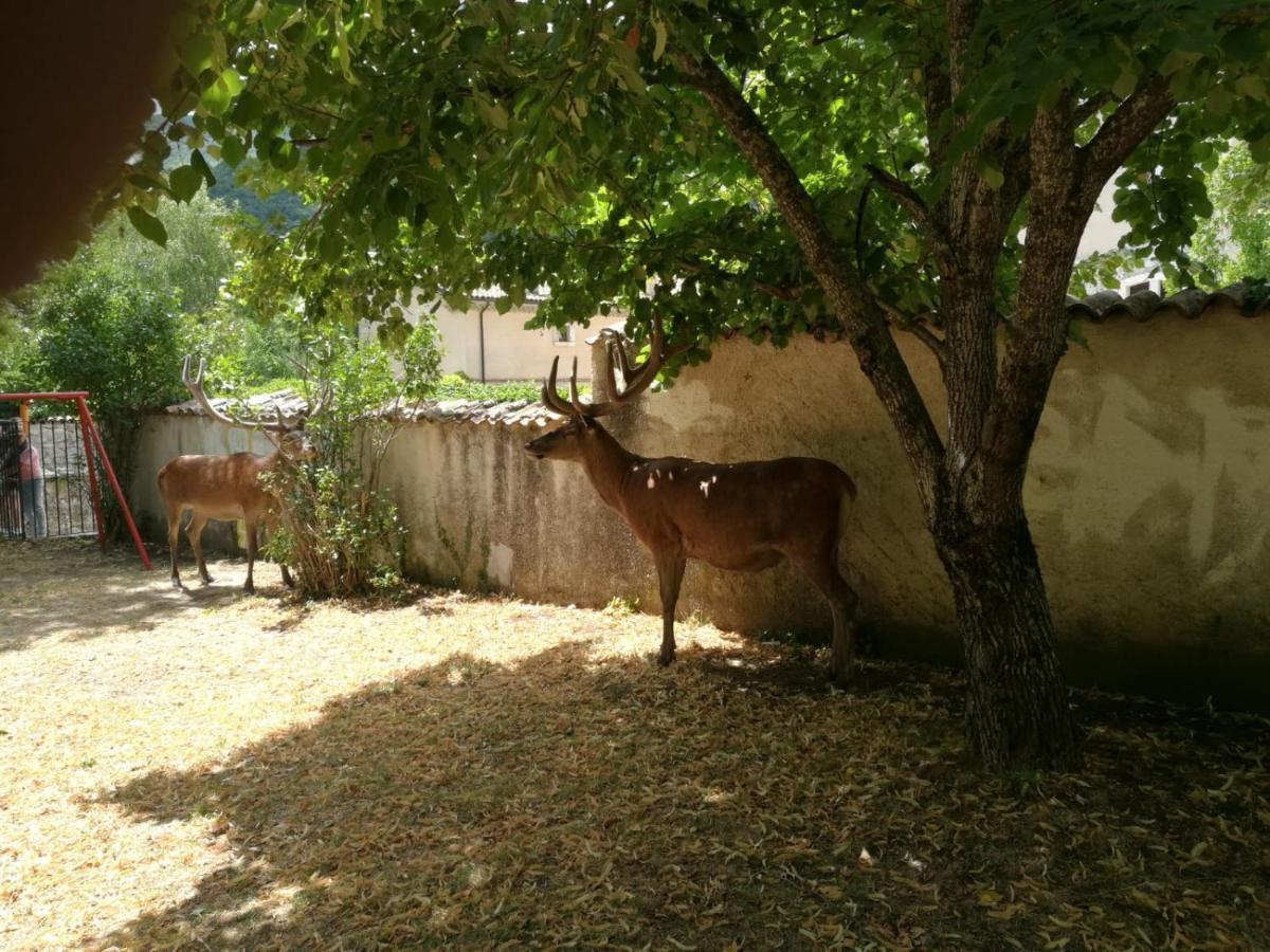 La Finestra Sul Parco Apartment Villetta Barrea